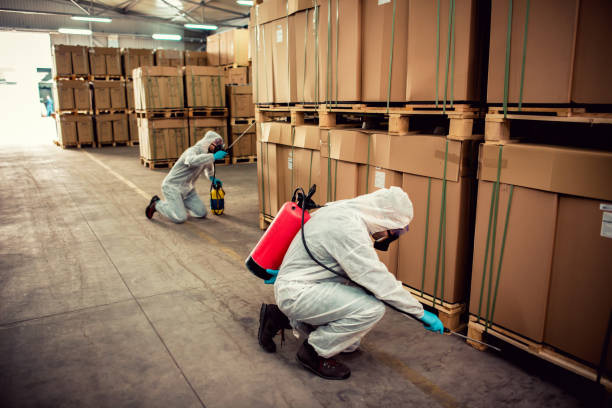 Best Affordable Pest Control Services  in Oakwood, IL