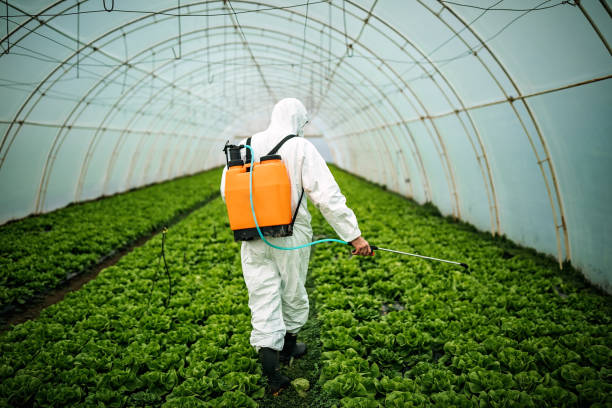 Best Affordable Pest Control Services  in Oakwood, IL