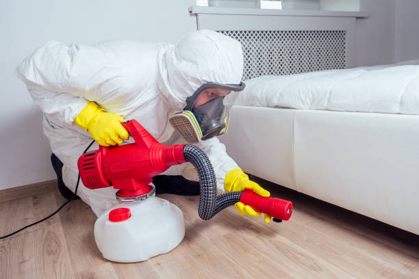 Best Rat Extermination Near Me  in Oakwood, IL