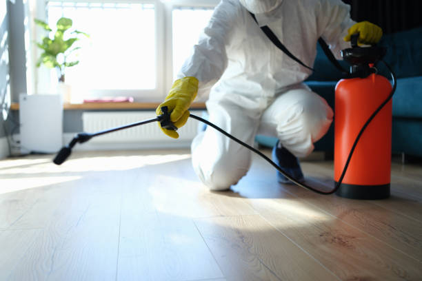 Best Cockroach Control Services  in Oakwood, IL