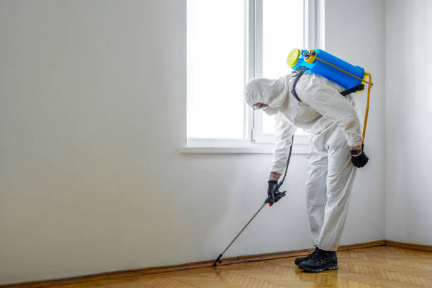 Best Pest Removal Services  in Oakwood, IL