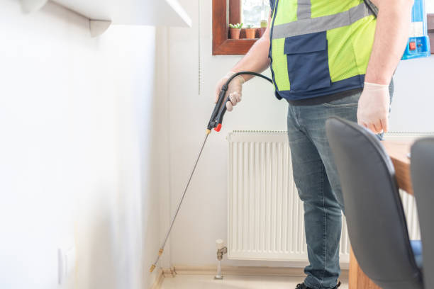 Best Rat Extermination Near Me  in Oakwood, IL