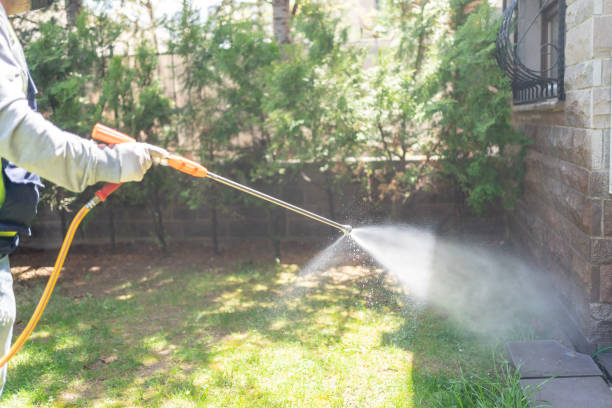 Best Ant Control Services  in Oakwood, IL