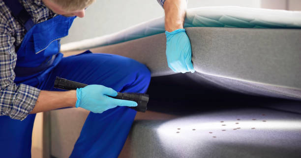Best Emergency Pest Control  in Oakwood, IL