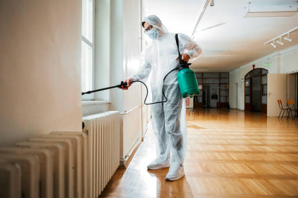 Best Emergency Pest Control  in Oakwood, IL