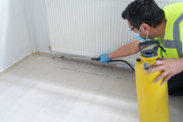 Best Best Pest Control Near Me  in Oakwood, IL